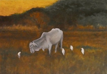 'Cow & Egrets,' Oil on panel, 14 x 19 inches, by Judith Anderson