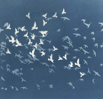 'Free Flying,' Cyanotype, Matted print ( 5.5 x 8.5 inches) in 9 x 12 mat, inches, by Kathleen Westkaemper