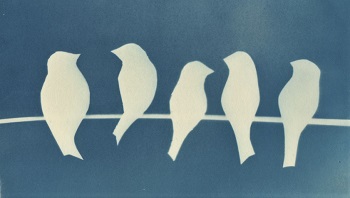 'On a Line I,' Cyanotype, Matted print ( 5.5 x 8.5 inches) in 9 x 12 mat, inches, by Kathleen Westkaemper