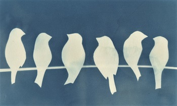 'On a Line II,' Cyanotype, Matted print ( 5.5 x 8.5 inches) in 9 x 12 mat, inches, by Kathleen Westkaemper