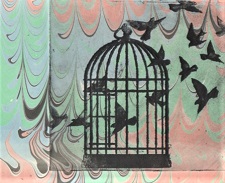 'Uncaged I,' Solar etching, Matted print (4.25 x 4.24 inches) in 9 x 9 mat, inches, by Kathleen Westkaemper