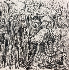 'Mushroom Stump,' charcoal on paper, by Chris Rudasill