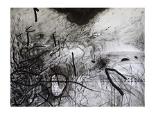 'Opson (unframed)' 24 x 36 inches, Ink, graphite, charcoal on paper by Vu Nguyen