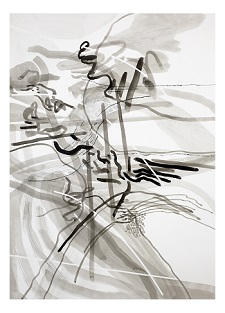 'Terra Series 2 of 6 (framed)' 24 x 18 inches, Ink, graphite, charcoal on paper  by Vu Nguyen