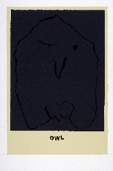 'Owl' by Nathaniel Hester