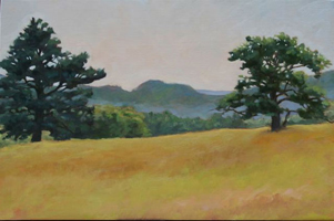 'Trees Mid-Morning' by Judith Anderson