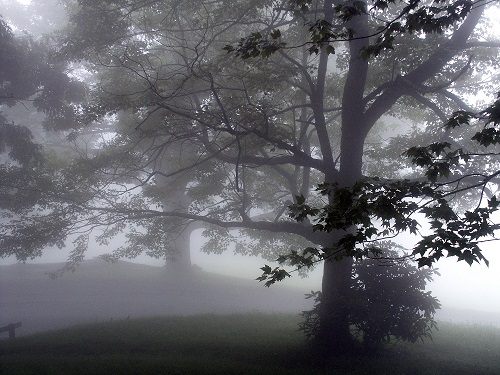 'Blue Ridge Fog' by Frank Feigert