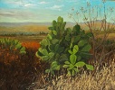 'Nopal Cactus'  Oil on panel, 18 X 24 inches, by Judith Anderson