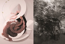 (left) 'Plate to Platelet: Sparkling,' by Mia Brownell, Oil on canvas, 46x36 inches. (right) 'Habitorium: Blaze,' by Martin Kruck, Photogravure on BFK paper, 22x16 inches