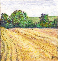 'Wheat Straw' by Annie Fitt