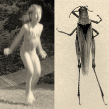 'Natural Affinities II: Child Jumping and Variegated Grasshopper' by Catherine M. Stewart